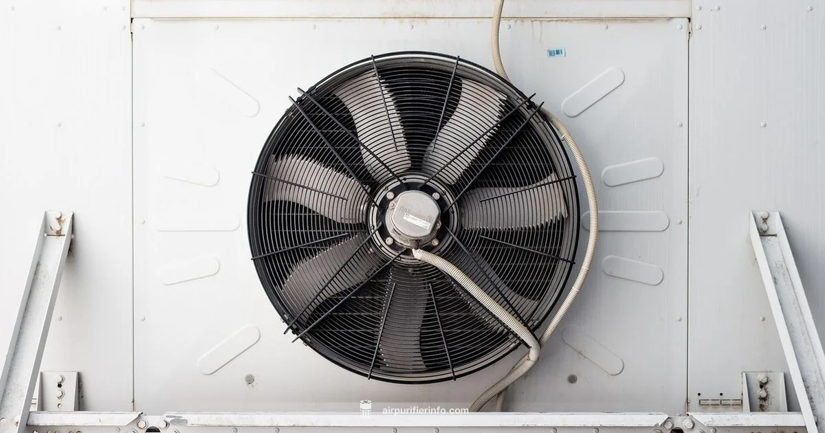 Purifier vs AC Purifier vs AC - Air Purifier Info