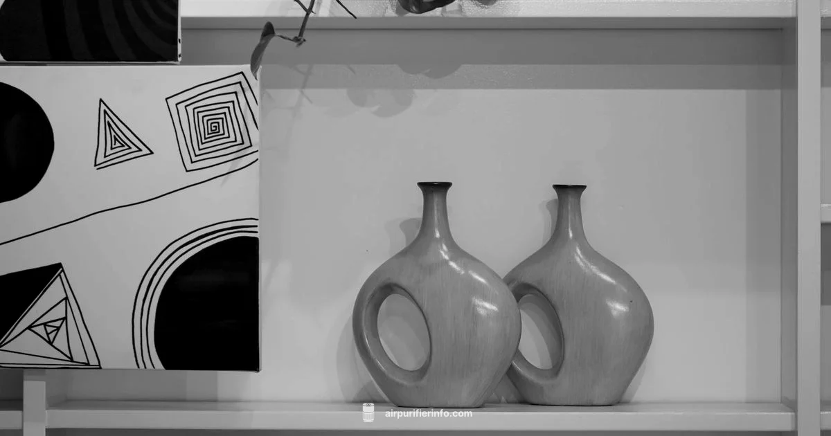 Vicks Air Purifier Guide - Air Purifier Info