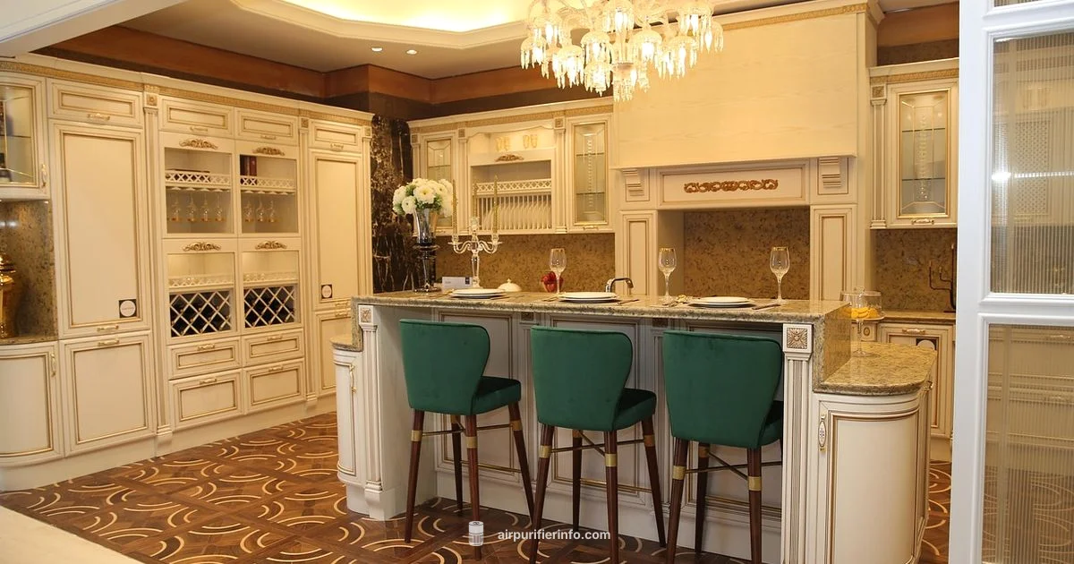 Musty Odor Guide - Air Purifier Info