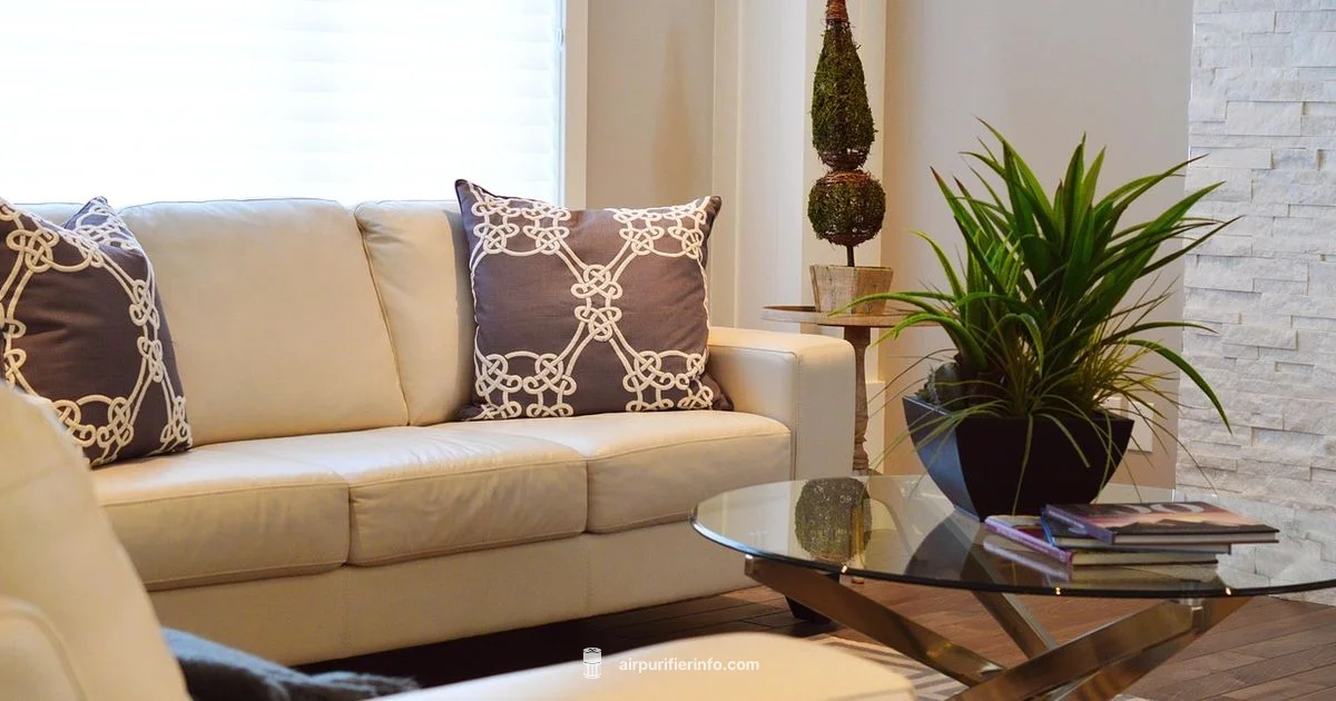 Dust-Free DIY - Air Purifier Info