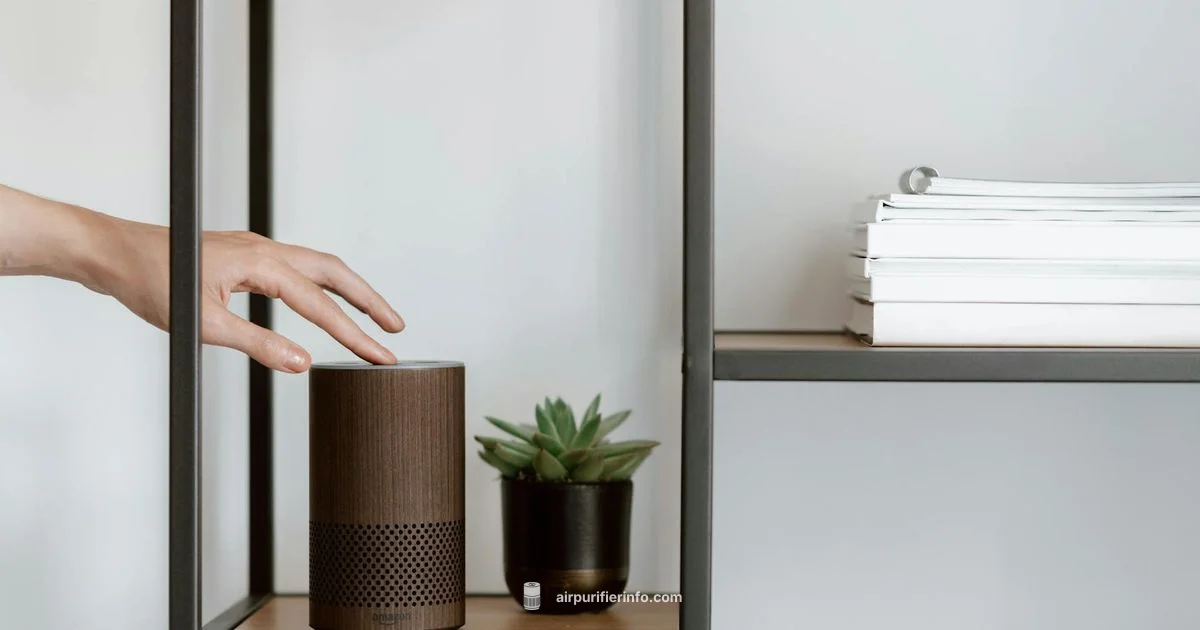 Levoit Manual Guide - Air Purifier Info