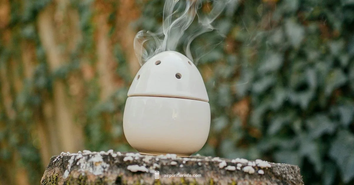 Purifier and Humidifier Purifier and Humidifier - Air Purifier Info