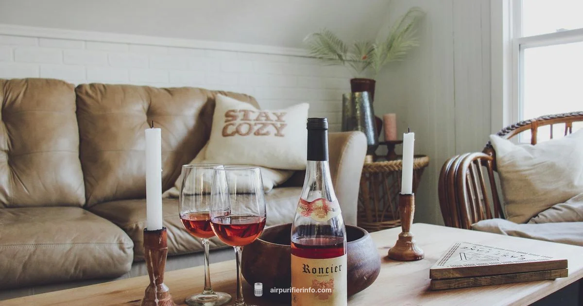 Cleaner Air Guide - Air Purifier Info