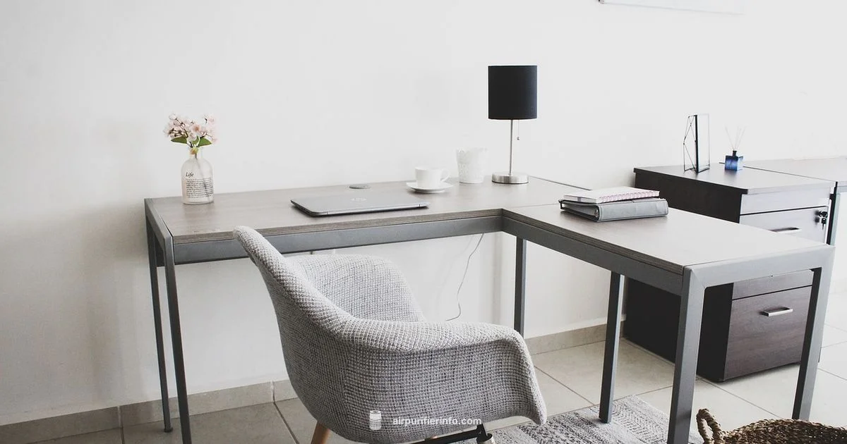 Air Filter Cleaner Guide Air Filter Cleaner Guide - Air Purifier Info