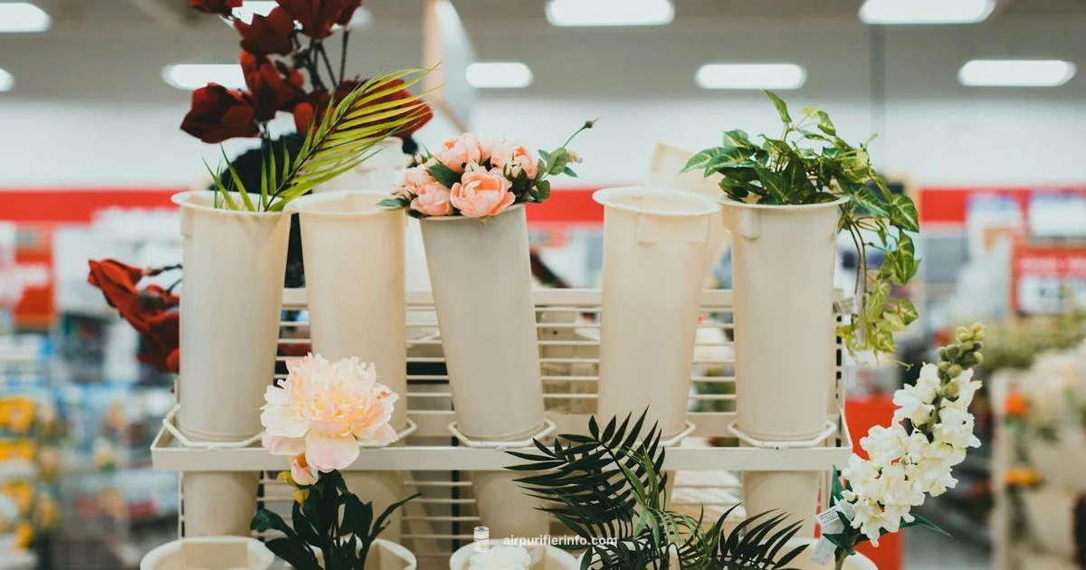 Air Purifier Spotlight - Air Purifier Info