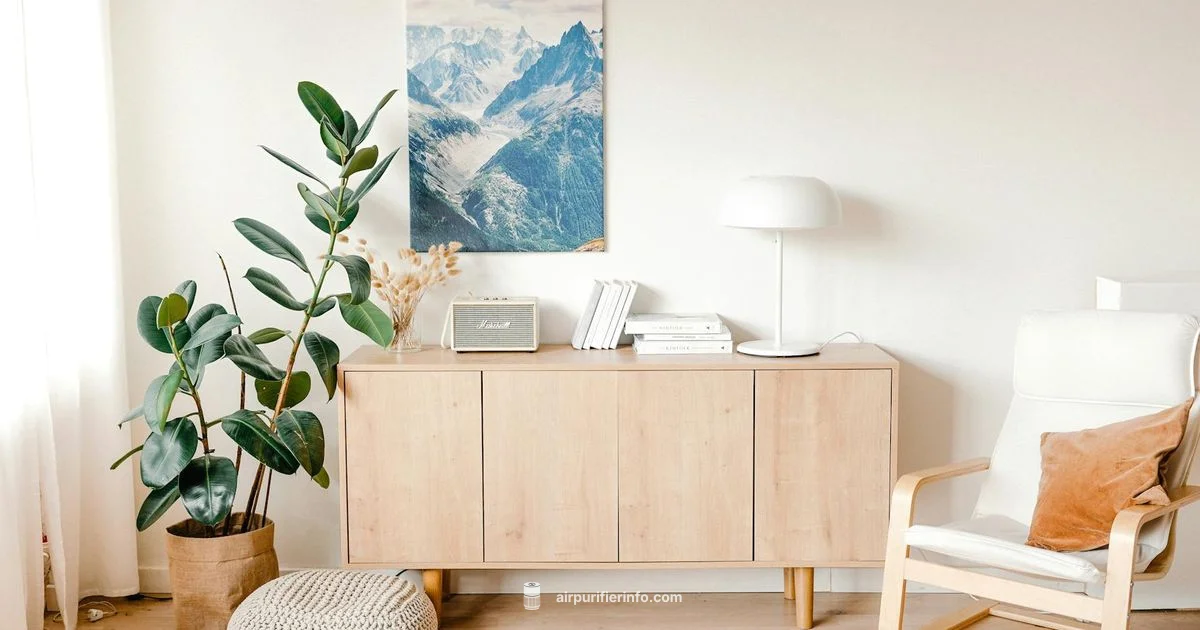 Aromatherapy Purifier Guide - Air Purifier Info