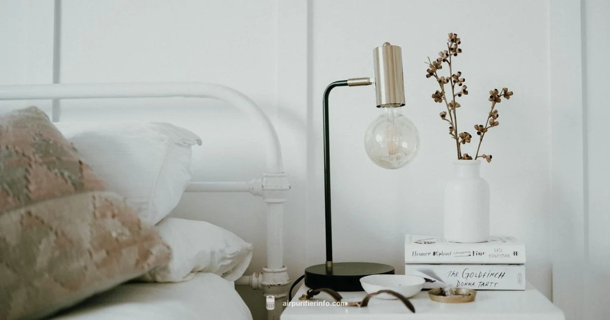 Blueair Mini Max Review Blueair Mini Max Review - Air Purifier Info