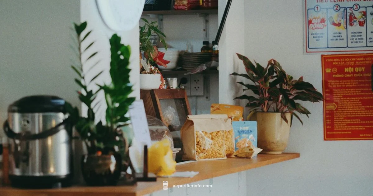 Remove Philips Lock Remove Philips Lock - Air Purifier Info