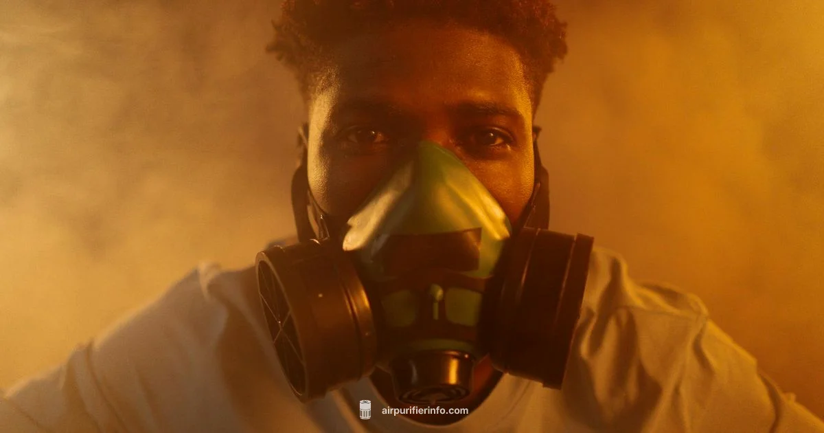 Air Purifying Respirator - Air Purifier Info