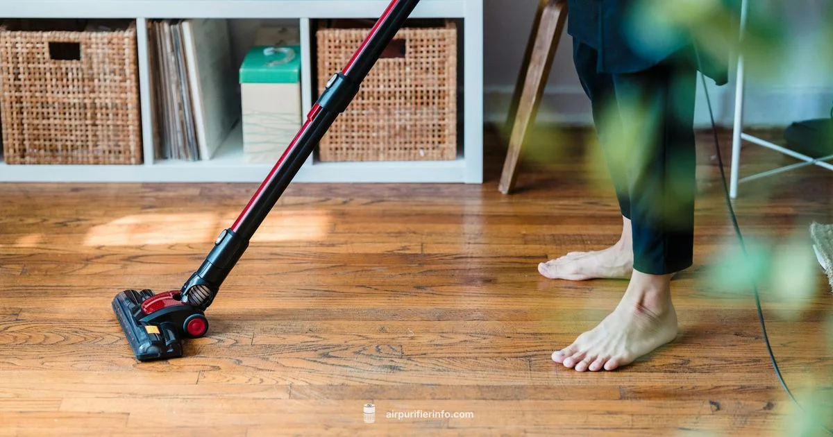 Cleaner Air Filters - Air Purifier Info