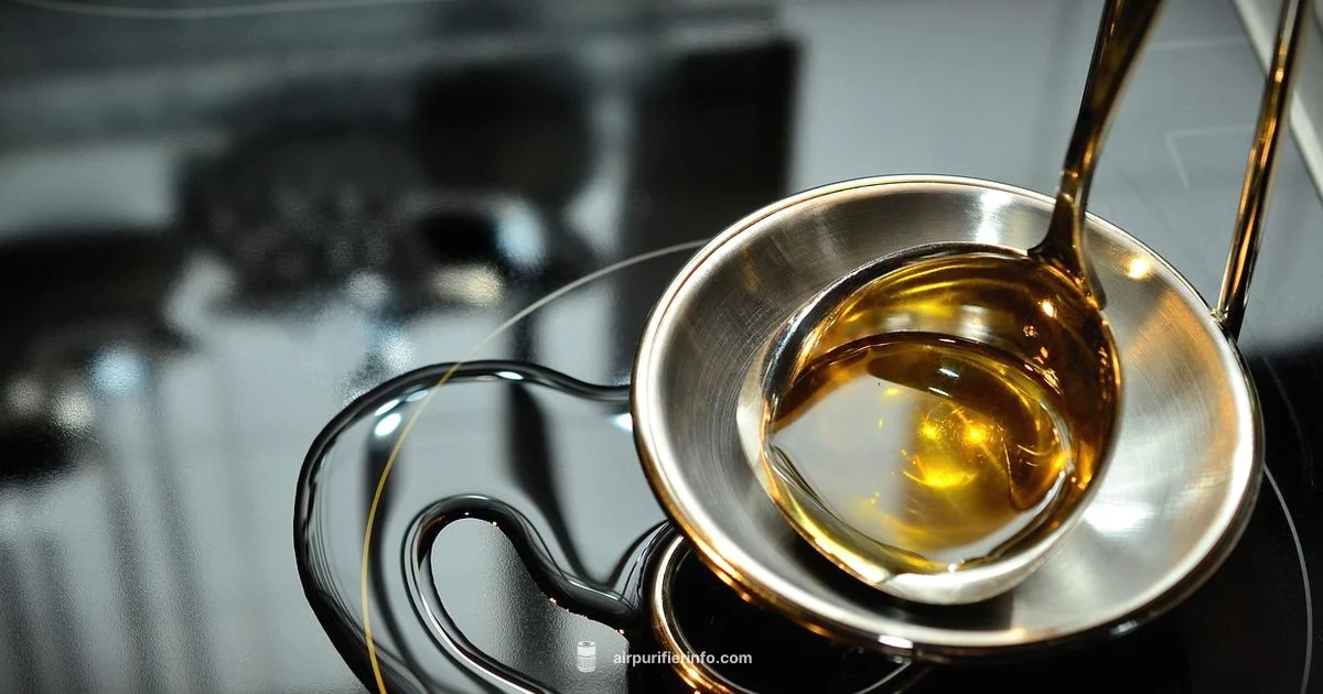 Oil Odor Purifier - Air Purifier Info