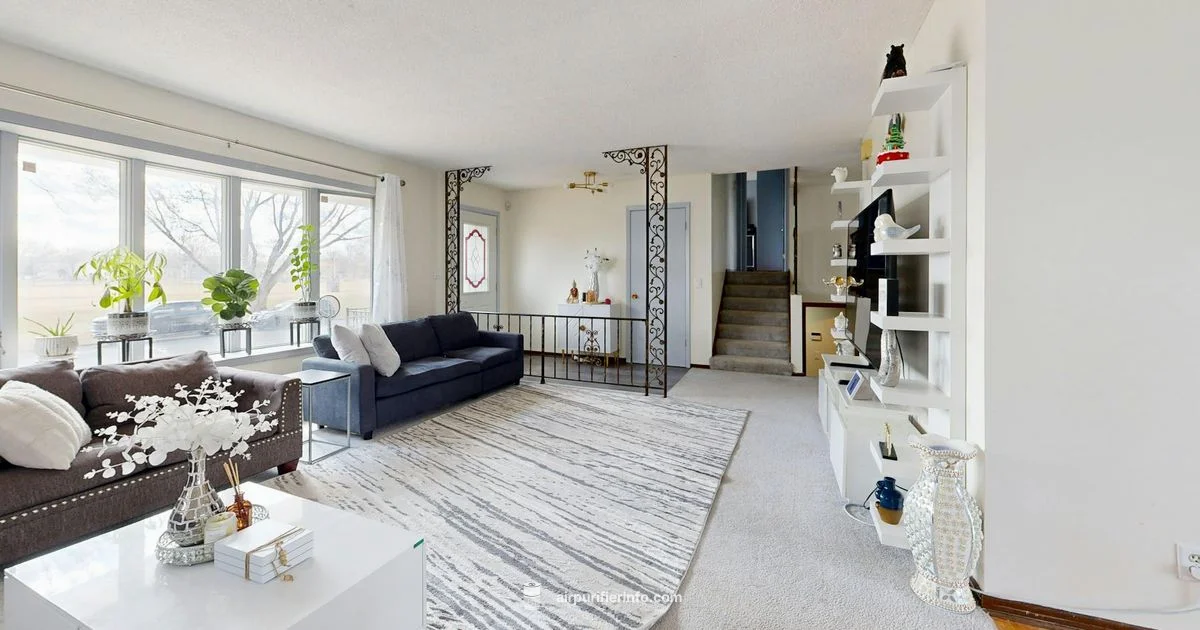 Whole House HEPA - Air Purifier Info