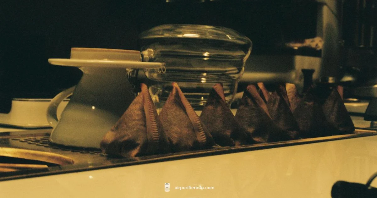 Budget Filters - Air Purifier Info