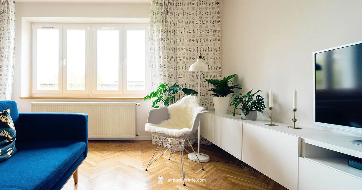 Large Room Fresh Air - Air Purifier Info