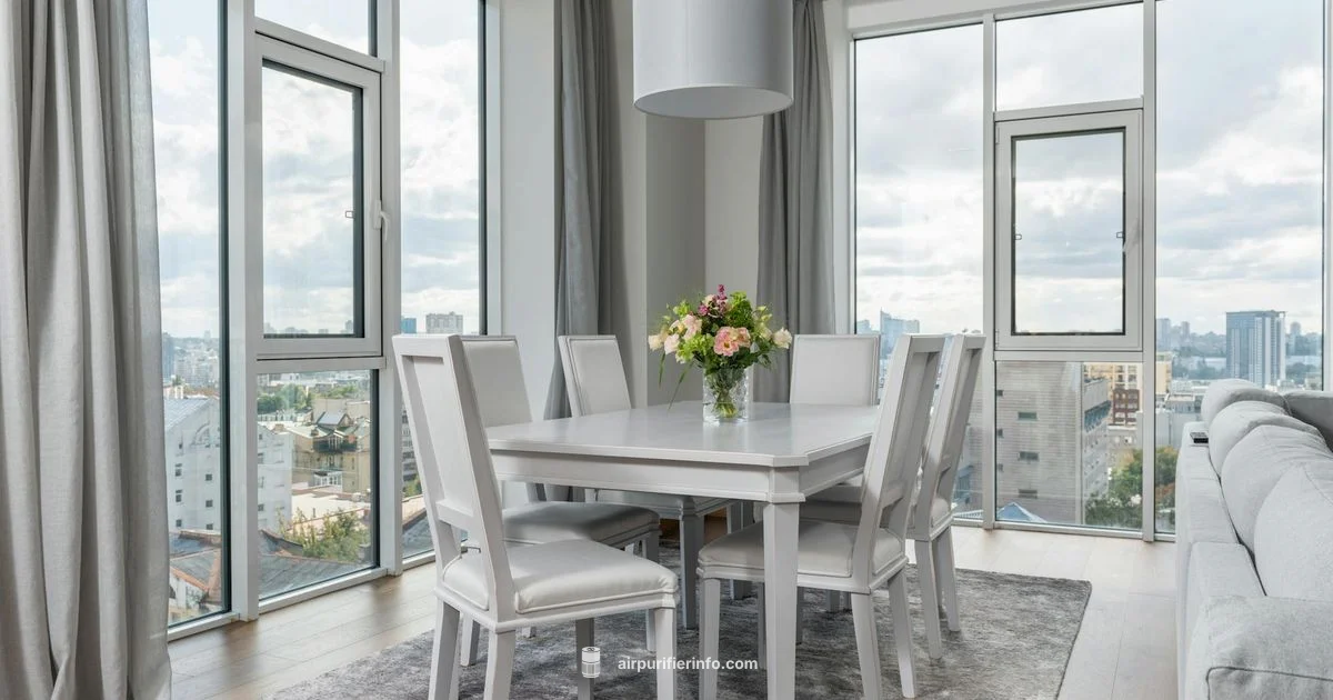 AP300 in Action - Air Purifier Info