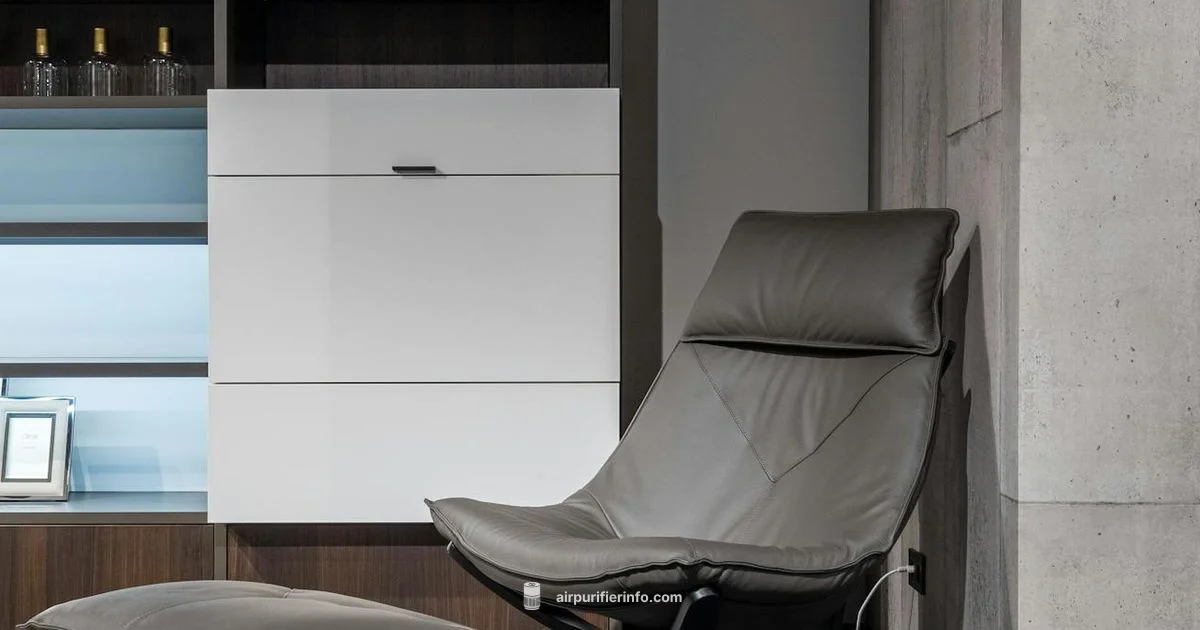 iWave R in Home - Air Purifier Info