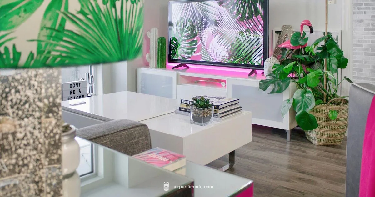 Purifier vs Humidifier Purifier vs Humidifier - Air Purifier Info