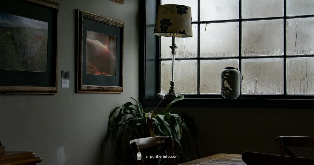 Mist Air Purifier Guide - Air Purifier Info