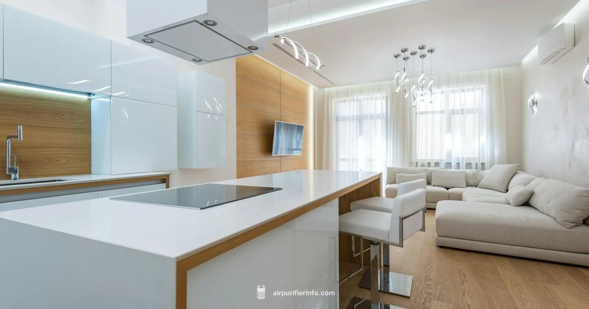 PlasmaWave in Action - Air Purifier Info