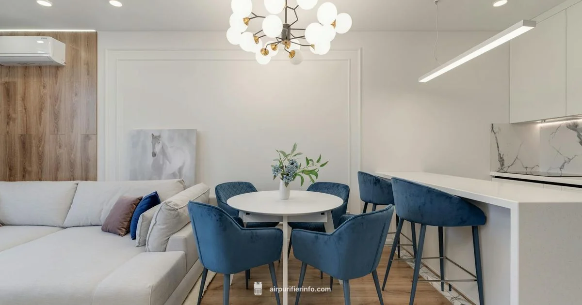 Blue Light Guide Blue Light Guide - Air Purifier Info