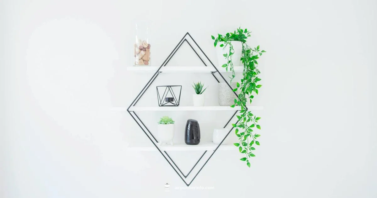 Levoit on Amazon Levoit on Amazon - Air Purifier Info