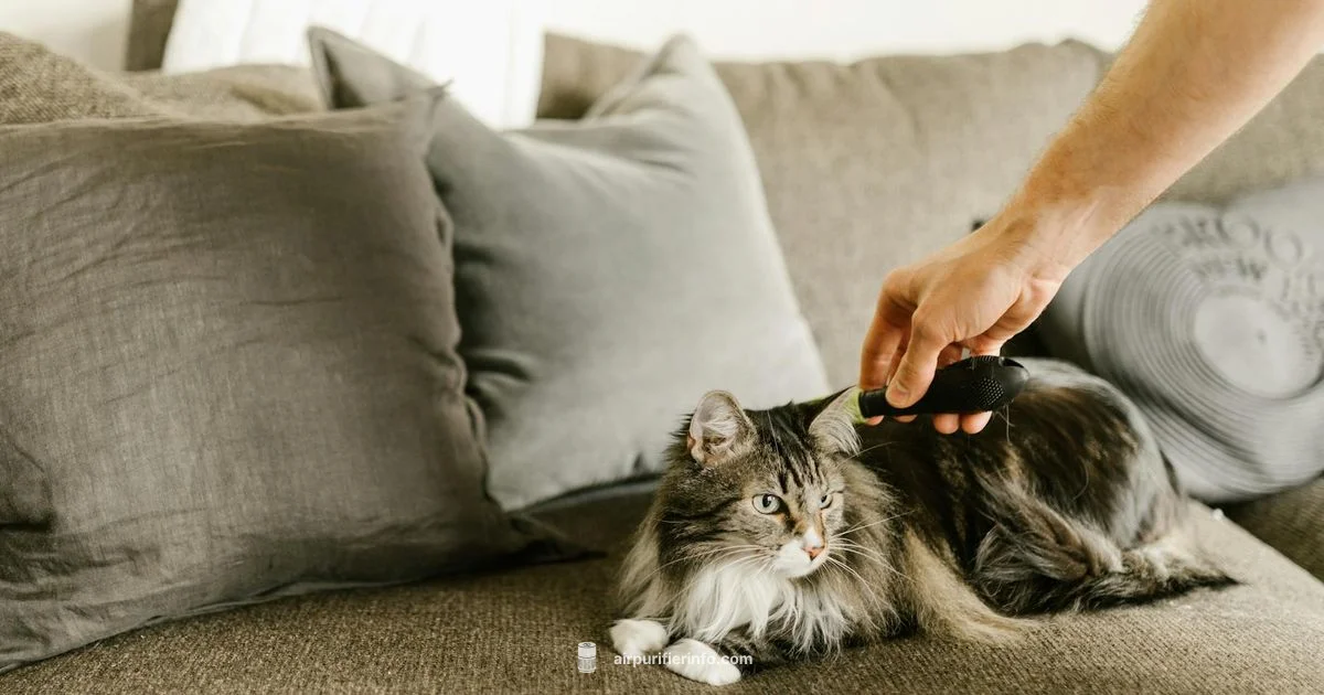 Pet Odor Purifier - Air Purifier Info