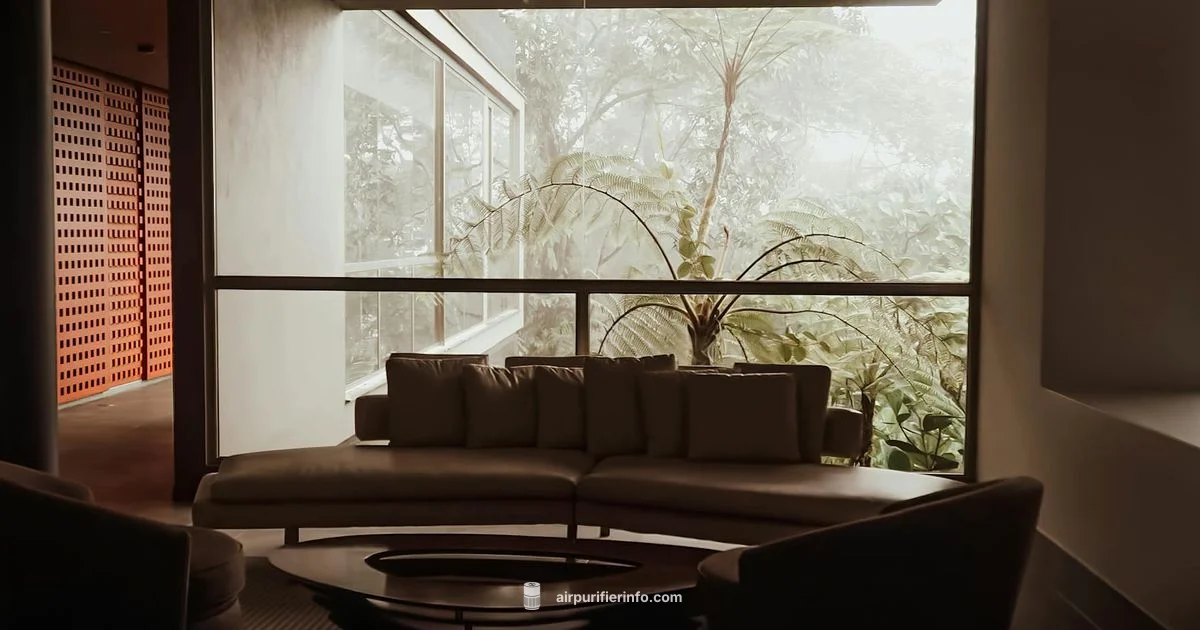 Purifier vs AC Purifier vs AC - Air Purifier Info