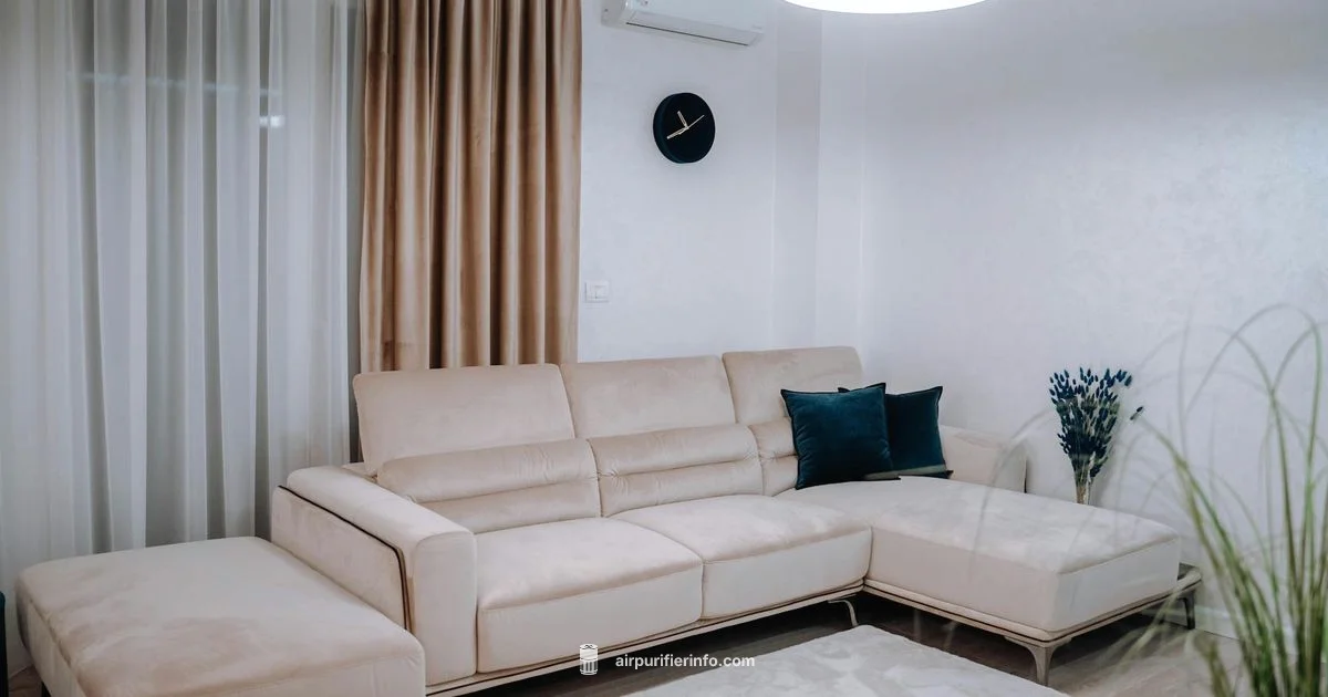 Filterless Use Guide Filterless Use Guide - Air Purifier Info