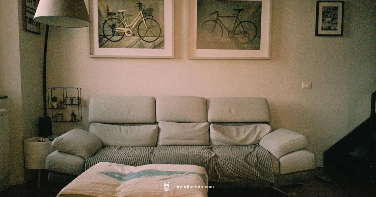 Airmega 250 Review - Air Purifier Info