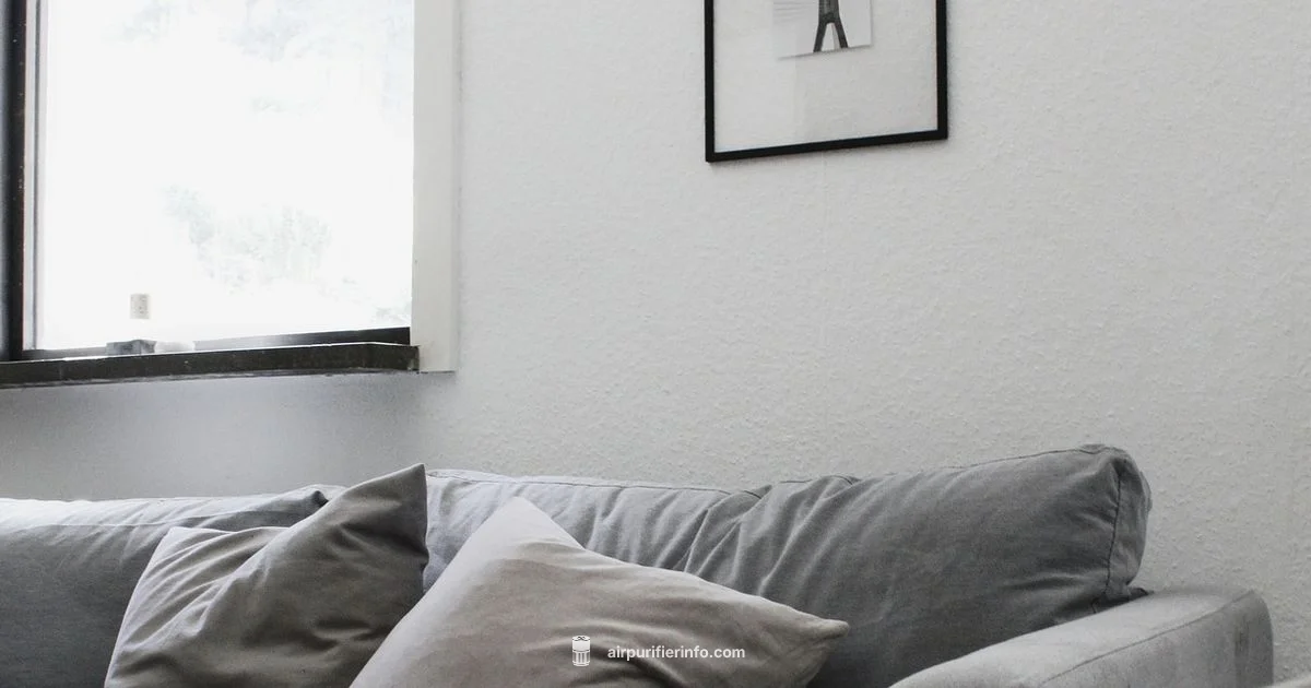 Air Quality Showdown - Air Purifier Info