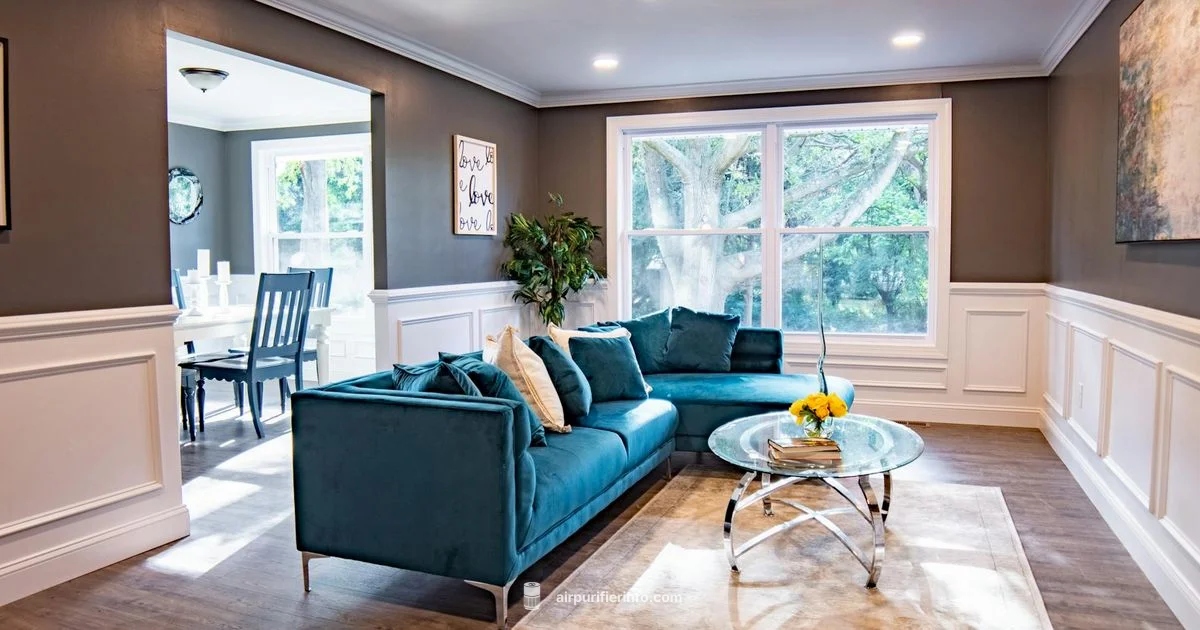 Air Purifier Systems Guide - Air Purifier Info