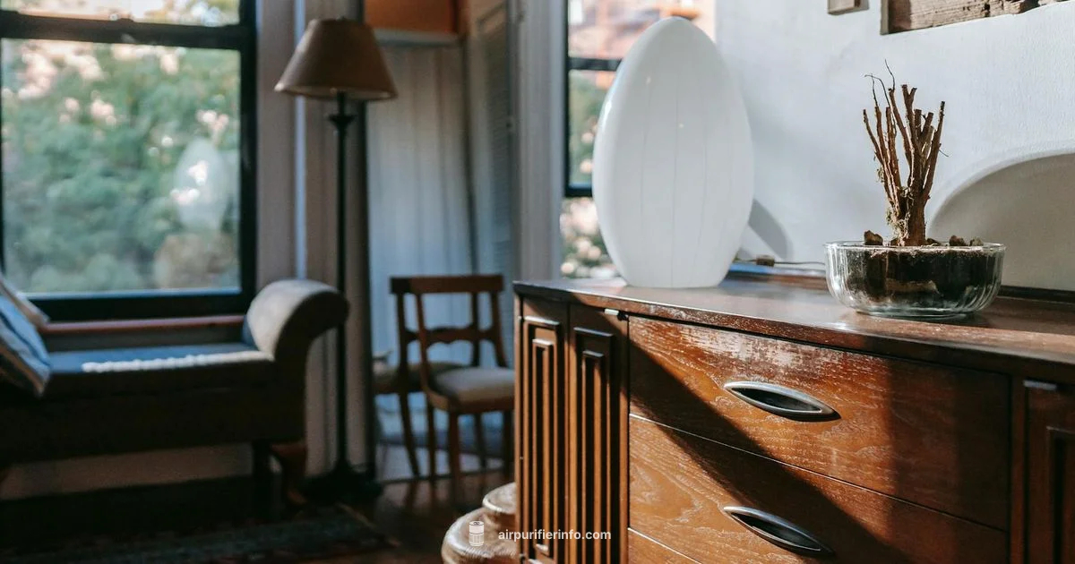 Air Doctor Cost Guide - Air Purifier Info