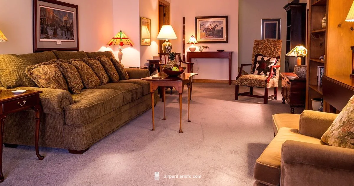 Air Purifier Basics - Air Purifier Info