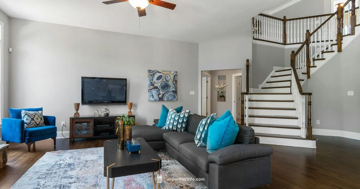 Dyson AM11 Overview - Air Purifier Info