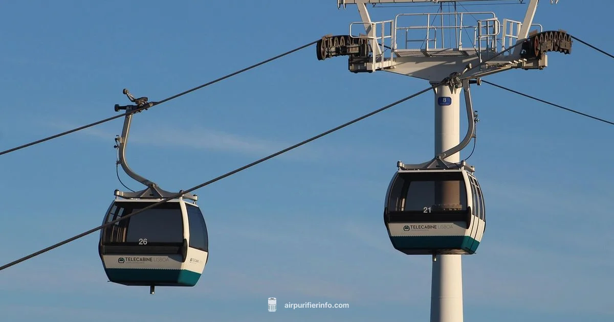 Clean Cabin Air - Air Purifier Info