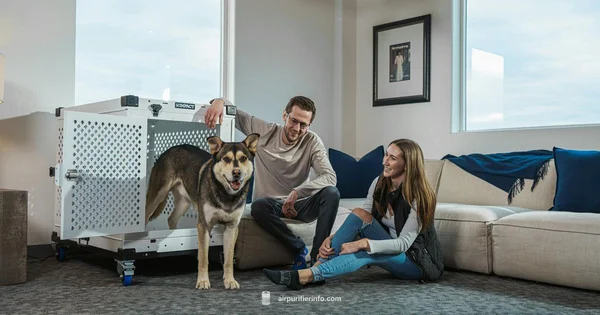 Pet Dander Purifier Guide - Air Purifier Info