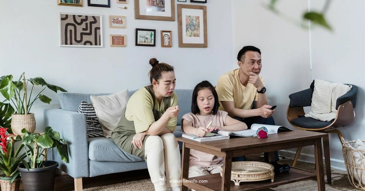 Cleaner Air at Home - Air Purifier Info