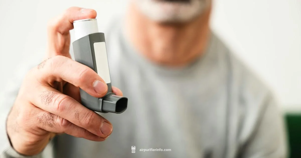 Cat Allergy Relief - Air Purifier Info