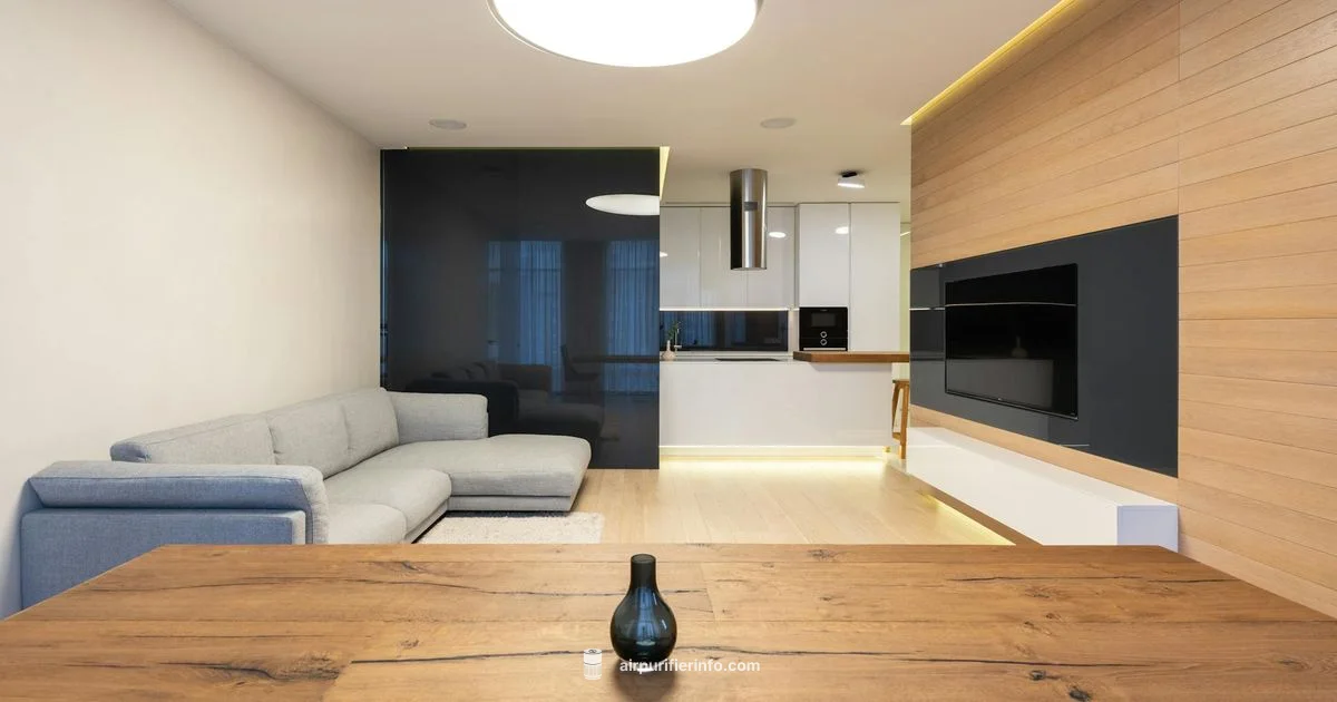 Molekule Guide - Air Purifier Info