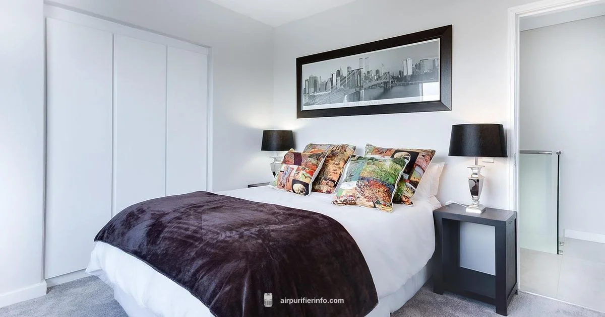 Quiet Air, Clean Air Quiet Air, Clean Air - Air Purifier Info