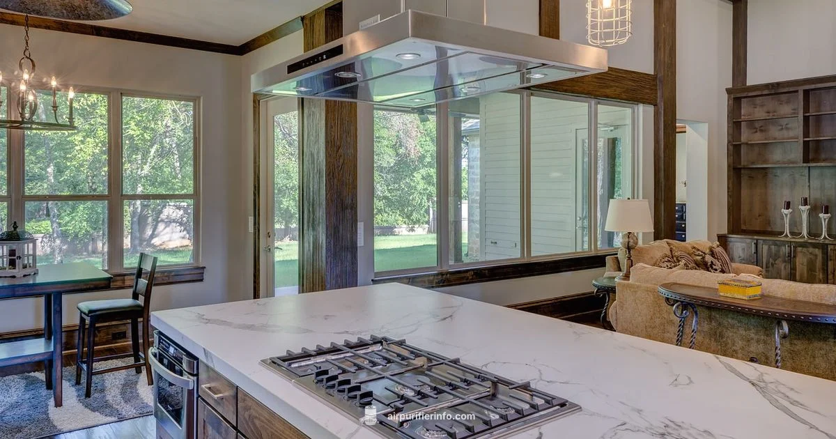 Curry Odor Solution - Air Purifier Info