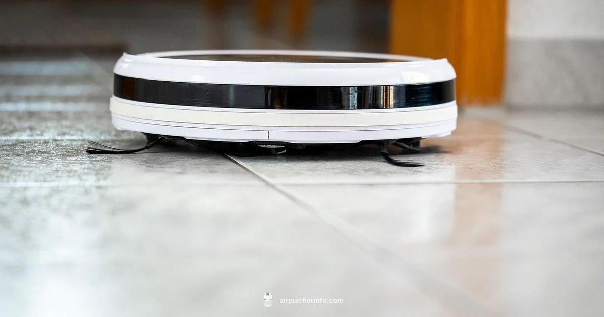 Ionizer Air Cleaner - Air Purifier Info