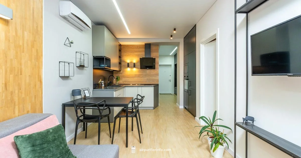 Air Purifier for Apartment - Air Purifier Info