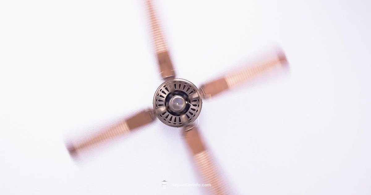 Air Purifier Guide - Air Purifier Info