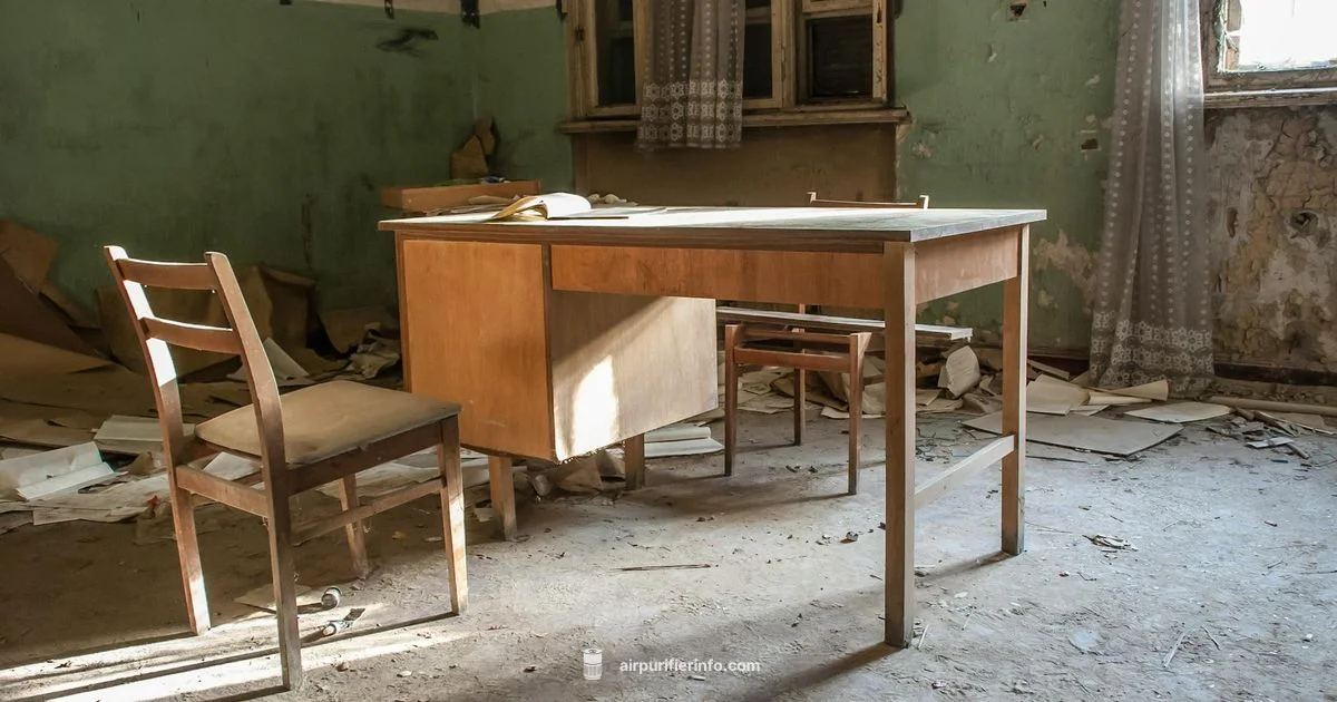 Dusty Room Purifier - Air Purifier Info