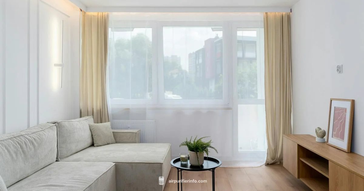 Compact Performance - Air Purifier Info