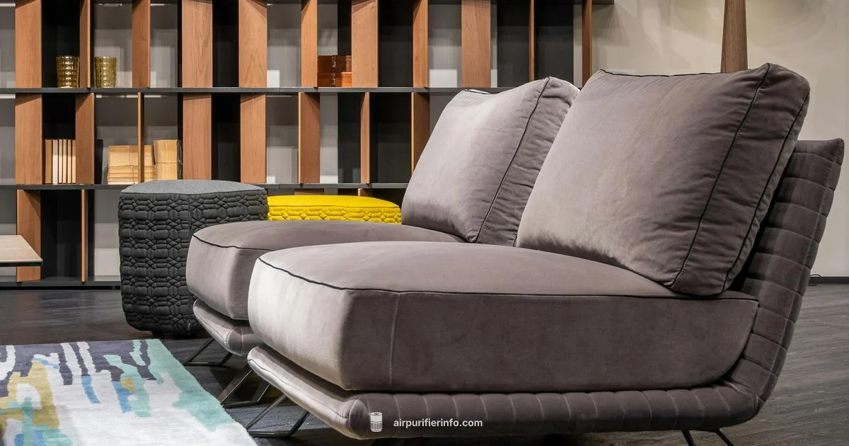 Origins of Levoit Purifiers Origins of Levoit Purifiers - Air Purifier Info