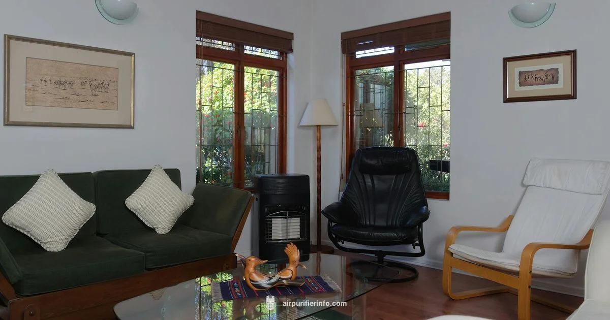 Clean Air, Clear Space - Air Purifier Info