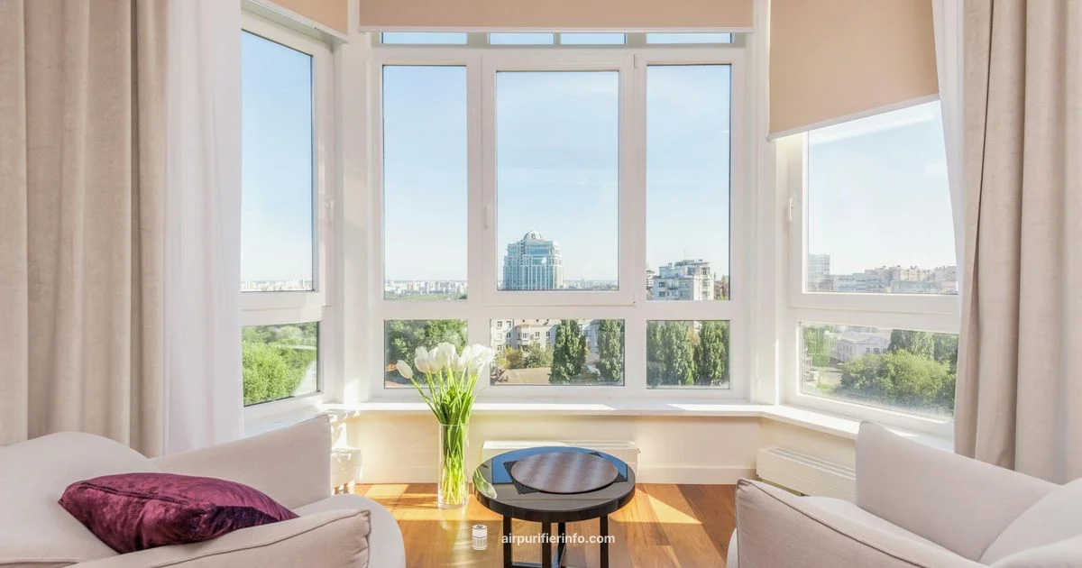 Mold Removal Essentials - Air Purifier Info