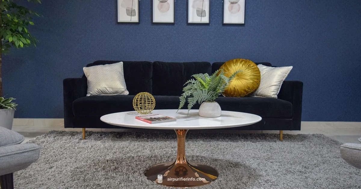 Levoit Guide - Air Purifier Info